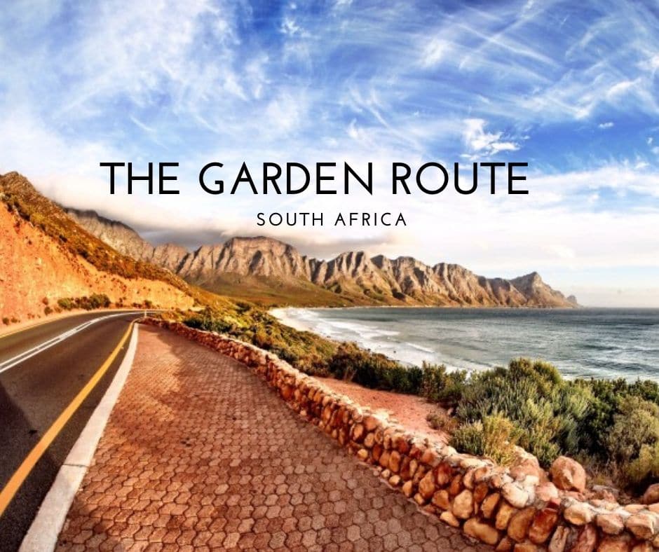 Road in the Garden Route