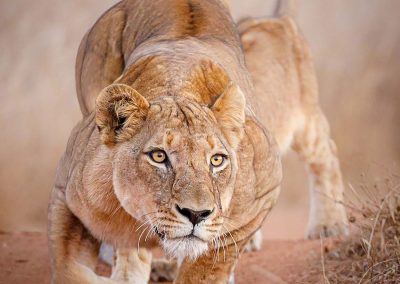 Itineraries dream vacations