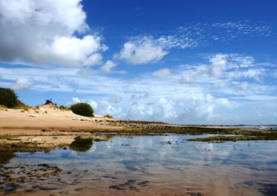 Mozambique Adventures