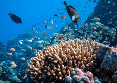 Itineraries dream vacations