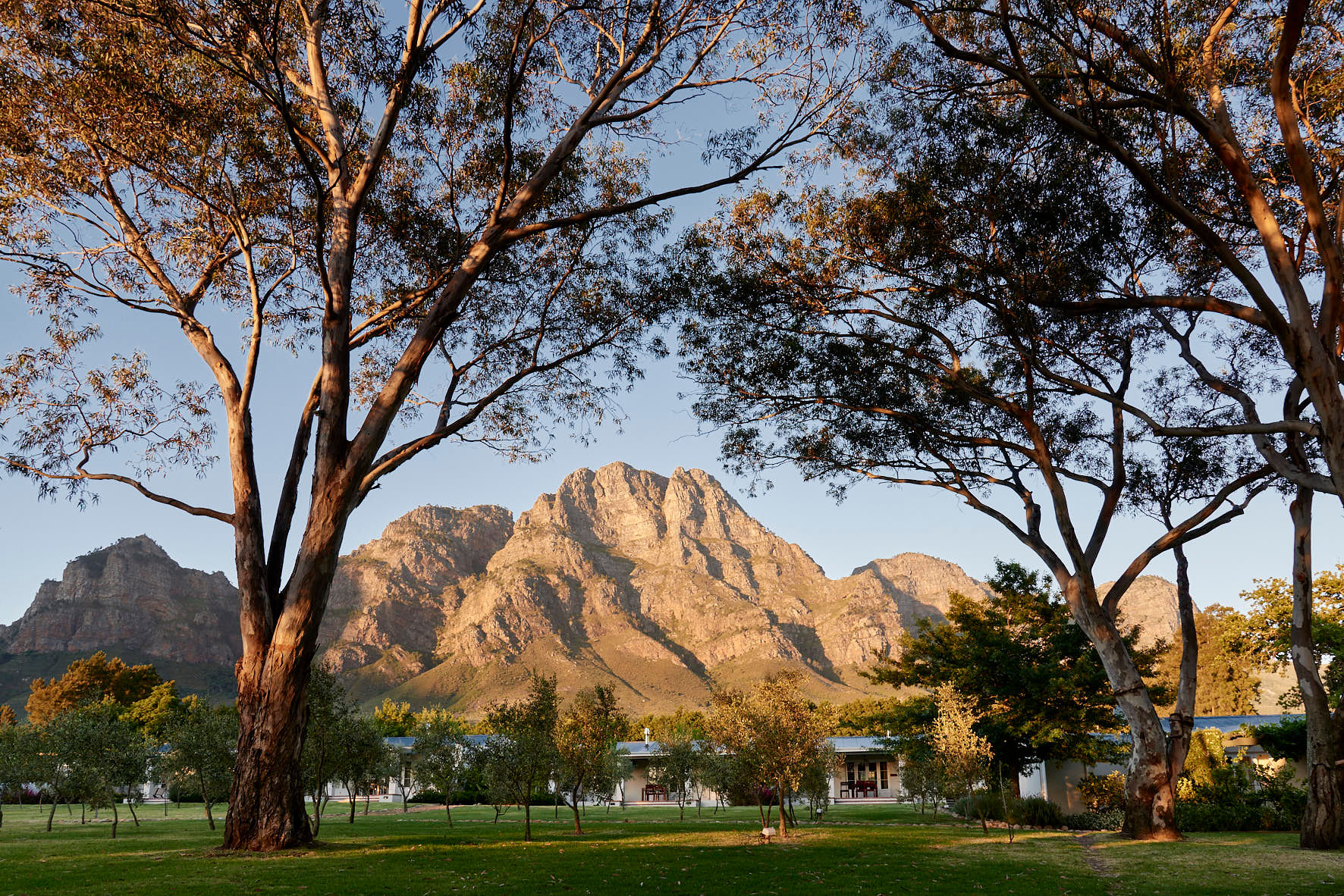 Boschendal Orchid Cottages Accomodation