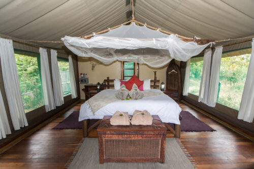 Shaka Deluxe Tent
