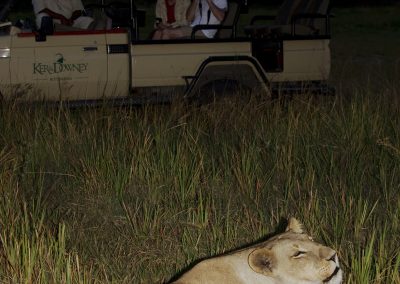 Shinde Camp Botswana