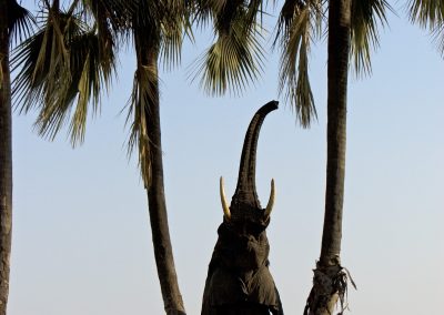 Shinde Camp Botswana