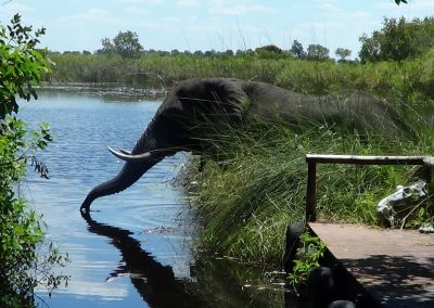 Shinde Camp Botswana