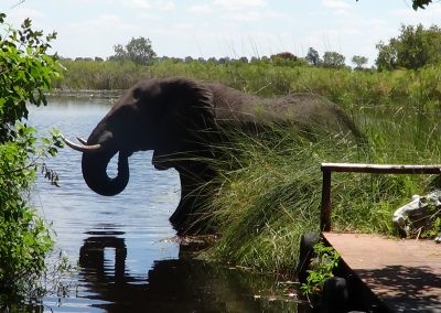 Shinde Camp Botswana