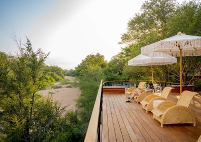 Thornybush