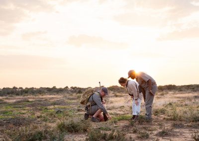 Kwandwe Private Game Reserve