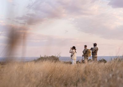 Kwandwe Private Game Reserve