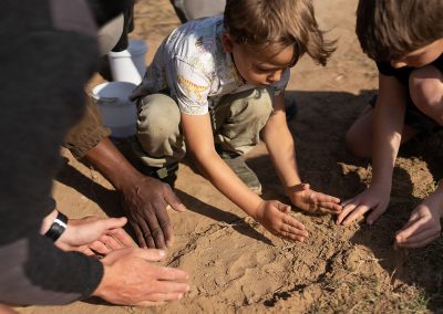 Kwandwe Private Game Reserve