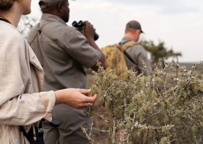 Kwandwe Private Game Reserve