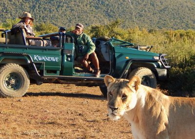 Kwandwe Private Game Reserve