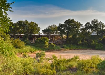 Thornybush
