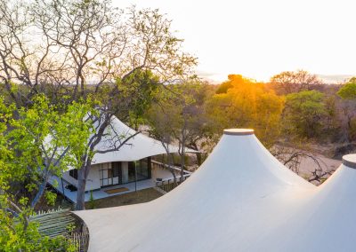 Thornybush
