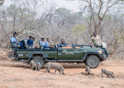 Thornybush