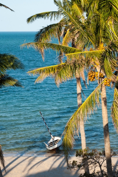 Mozambique Adventures