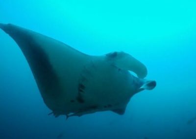 Mozambique Adventures