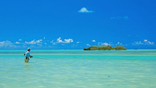 Fly fishing Seychelles 